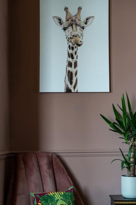 Stylish Beachfront Apartment, Sweeping Ocean Views And Luxury Touches Herne Bay Eksteriør bilde