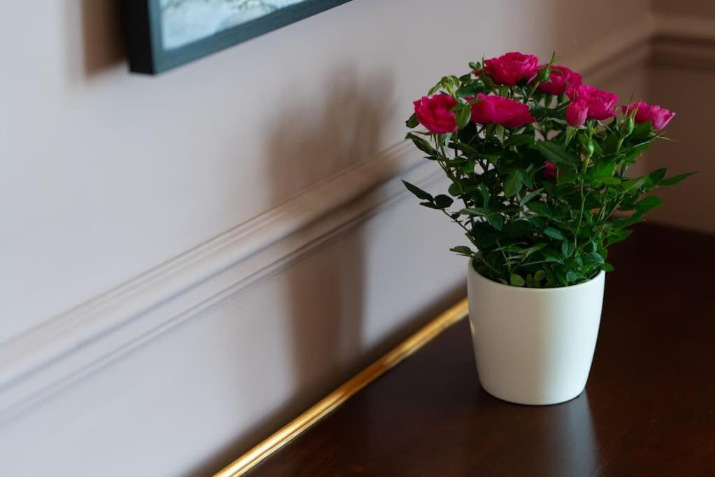 Stylish Beachfront Apartment, Sweeping Ocean Views And Luxury Touches Herne Bay Eksteriør bilde